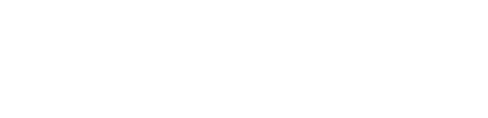 mkmv advisory group